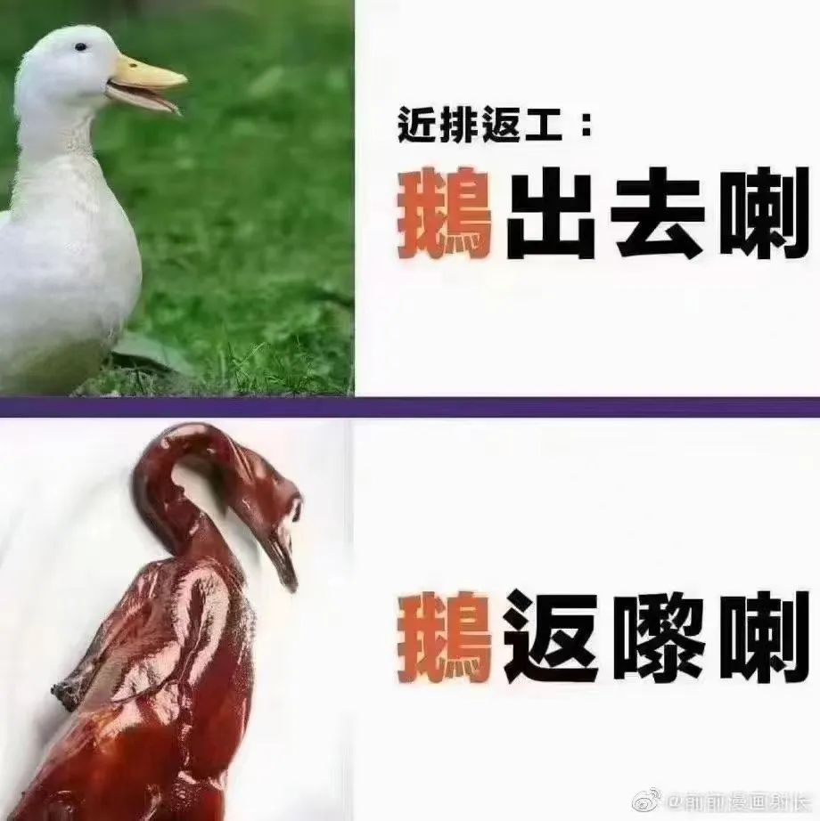 1685589277664910.jpg 2.jpg